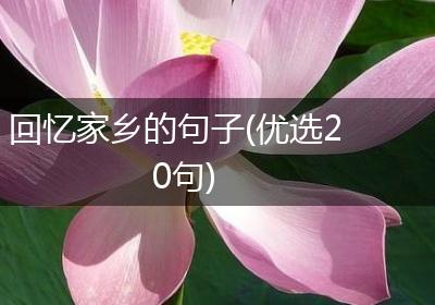 回忆家乡的句子(优选20句)