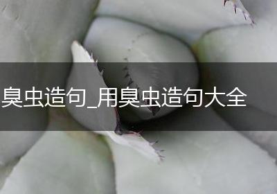 臭虫造句_用臭虫造句大全