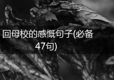 回母校的感慨句子(必备47句)