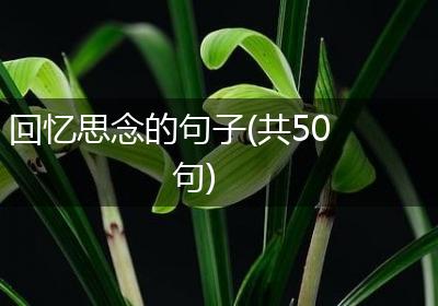 回忆思念的句子(共50句)