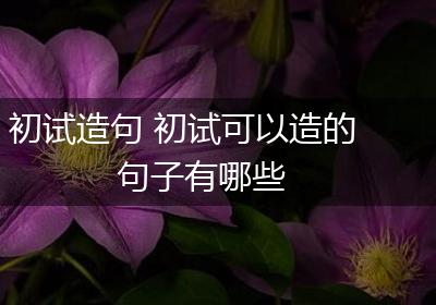 初试造句 初试可以造的句子有哪些
