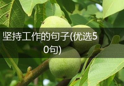 坚持工作的句子(优选50句)