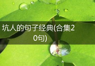 坑人的句子经典(合集20句)