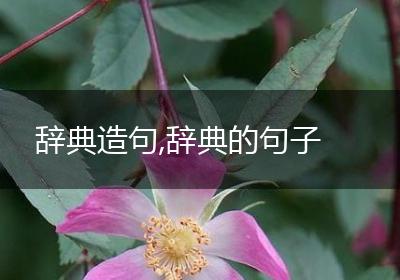辞典造句,辞典的句子