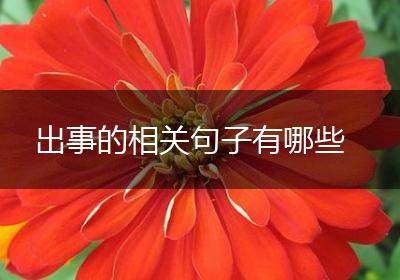 出事的相关句子有哪些