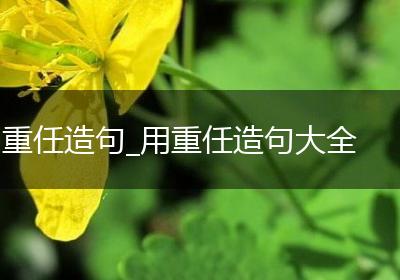 重任造句_用重任造句大全