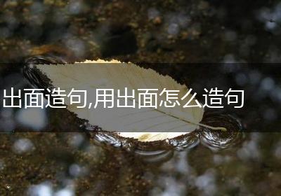 出面造句,用出面怎么造句