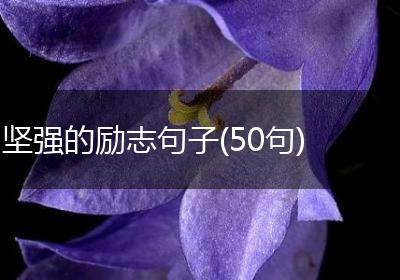 坚强的励志句子(50句)