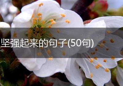 坚强起来的句子(50句)