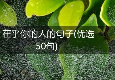 在乎你的人的句子(优选50句)