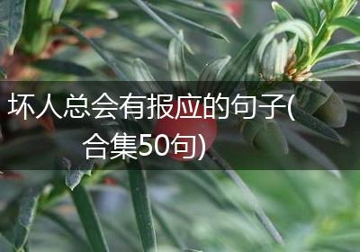 坏人总会有报应的句子(合集50句)