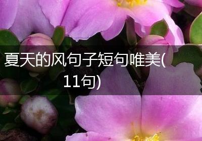 夏天的风句子短句唯美(11句)