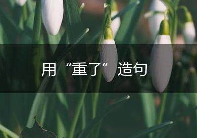 用“重子”造句