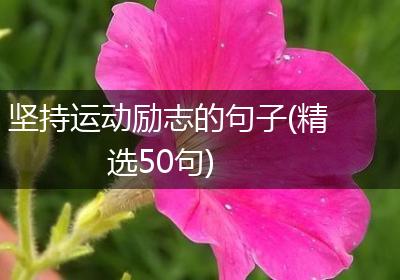 坚持运动励志的句子(精选50句)