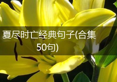 夏尽时亡经典句子(合集50句)