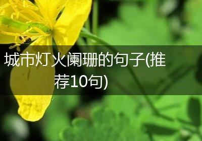 城市灯火阑珊的句子(推荐10句)