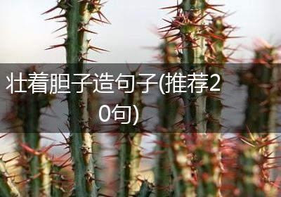 壮着胆子造句子(推荐20句)