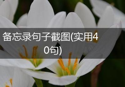 备忘录句子截图(实用40句)