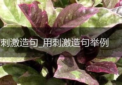 刺激造句_用刺激造句举例