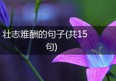 壮志难酬的句子(共15句)
