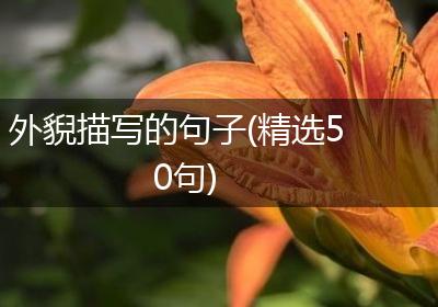 外貎描写的句子(精选50句)