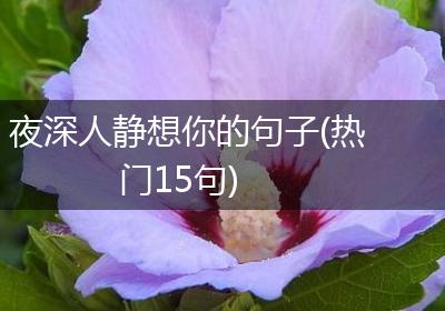 夜深人静想你的句子(热门15句)
