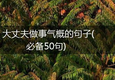 大丈夫做事气概的句子(必备50句)
