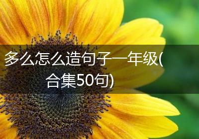 多么怎么造句子一年级(合集50句)