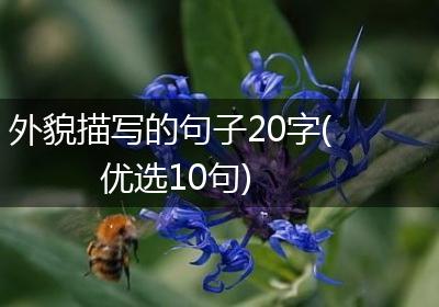 外貌描写的句子20字(优选10句)