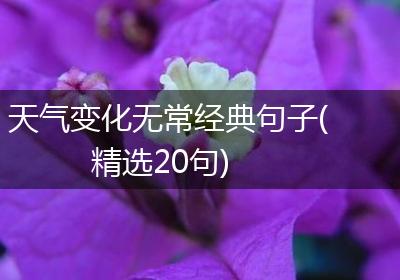 天气变化无常经典句子(精选20句)