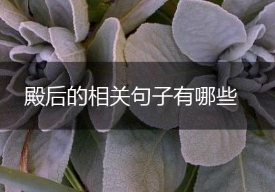 殿后的相关句子有哪些