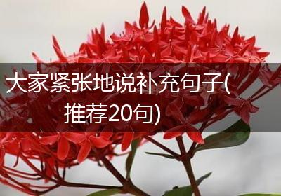 大家紧张地说补充句子(推荐20句)