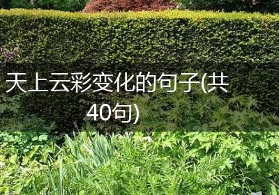 天上云彩变化的句子(共40句)