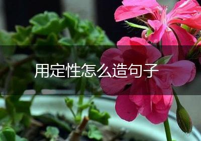用定性怎么造句子