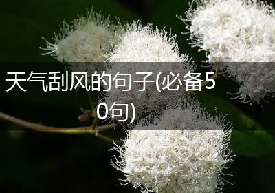 天气刮风的句子(必备50句)