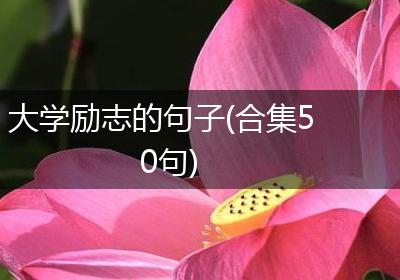 大学励志的句子(合集50句)