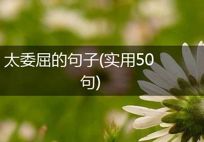太委屈的句子(实用50句)
