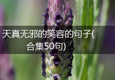 天真无邪的笑容的句子(合集50句)