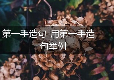 第一手造句_用第一手造句举例