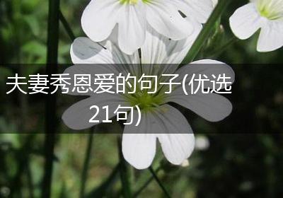 夫妻秀恩爱的句子(优选21句)