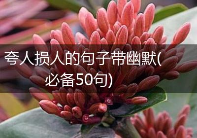 夸人损人的句子带幽默(必备50句)