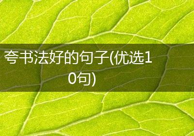 夸书法好的句子(优选10句)