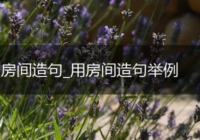 房间造句_用房间造句举例