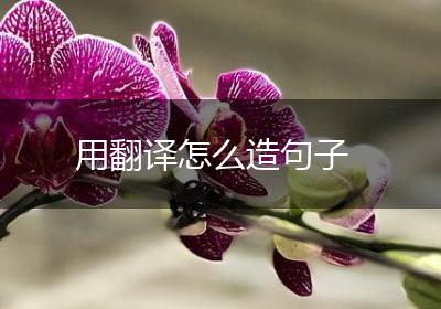 用翻译怎么造句子