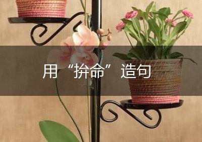 用“拚命”造句