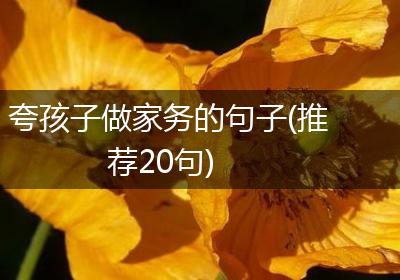 夸孩子做家务的句子(推荐20句)