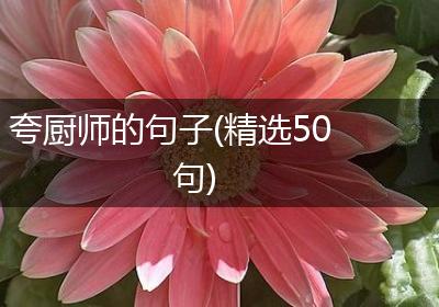 夸厨师的句子(精选50句)