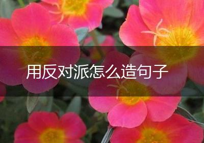 用反对派怎么造句子