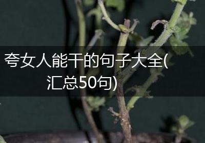 夸女人能干的句子大全(汇总50句)