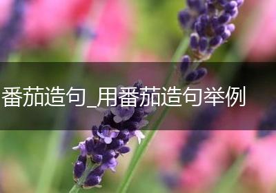 番茄造句_用番茄造句举例